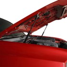 Pair Hood Lift Strut Kit Hood Lift Support Prop Rod For 2016-2023 Toyota Tacoma