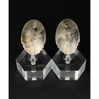 Vintage Navajo Sterling Silver Abalone Earrings Signed Lex 1987 Southwestern