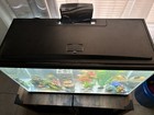 Aqueon Led 29 Gallon Aquarium Kit 30 X 13 X 19     More        Local Pickup Nib