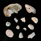 Beautiful Iridescent Abalone Shells And Pieces -california Lot Of 12