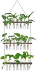Wall Hanging Propagation Station With Wooden Stand 21 Glass  Tubes 3 Tiers Pl   