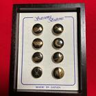Satsuma Buttons 15mm Set Of 8 Insect Kutani Ware Black Gold Traditional Japanese
