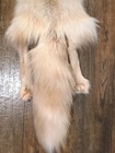 Rare Ranch Amber Fox Hide Pelt Freshly Tanned  Luxurious Fur 4 Legs Super Soft