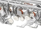 Alto Saxophone Eb Complete Set With Carry Case For Professionals And Beginners