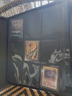 One Piece Top Loader Card Binder Luffy Gear 5 Tcg Limited Edition