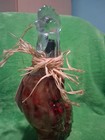 Vintage Sealed 13  Clear Glass Rooster Shaped Bottle Vinegar Infused Red Peppers
