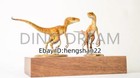 1 15 Dino Dream The Leopard Print Velociraptor Resin Pu Figure L23cm 9in 