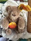 Vintage Steiff Mohair Bear Stuffed Bendy 0202 11 Button Flag Chest Tag