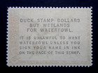 1962 Us Federal Duck Stamp - Pintail Drakes - Cat   Rw29 Single Stamp Mnh Og