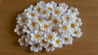 Crochet White Daisies Flowers Applique 50 Pcs