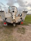 1989 220v Sea Pro