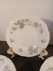Set Of 12 Vintage Pfaltzgraff Stoneware Grapevine Salad Plates 8 1 4 Inch