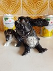 Pets With Personality - Cocker Spaniel   Pup - Black   White