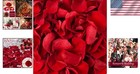 180 Pcs Dried Real Red Rose Flower Petals Confetti For Wedding  1 75oz