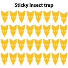 20pcs Sticky Fruit Fly Traps  Fungus Gnat Killer Trap Use For Indoor Outdoor