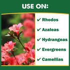 8 Lbs  Organic Holly Tone Fertilizer