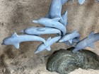 Vintage Large Bronze Dolphin Sculpture On Wave Base     Heavy 15 4 Lb Art Decor