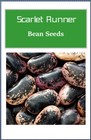 Scarlet Runner Bean Seeds    Non-gmo   Fresh Garden Seeds