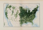 1900 United States - Improved Land Map Original  13x8 25  12th Census