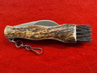 Amazing Maserin Mushroom Picker   s Stag Scaled Knife  With Brush  731 