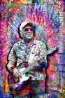 Jimmy Buffett Pop Art 11x17in Poster  Jimmy Buffett Tribute Print Free Shipping