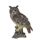 Soreal Brown Long Eared Owl On Branch   Handcrafted Decorative Bird Statue