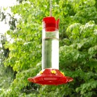 Perky-pet Hummingbird 30 Oz Glass plastic Nectar Bird Feeder 6 Ports
