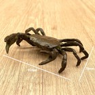 Brass Crab Sculpture Rustic Coastal Decor Cancer Zodiac Collectible Figure