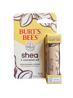 3 Pack Burt   s Bees Shea   Coconut Oil Lip Balm 0 34 Oz Moisturizing Natural New