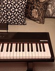 Alesis Recital 88 Keys Electronic Digital Keyboard   Sustain Pedal A  Condition