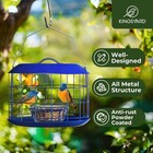 Kingsyard Bluebird Feeders For Outdoors Hanging  All Metal  Cage Mealworm Bir   