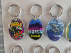 Hawaii Kauai Keychains Acrylic Vintage Lot Of 9  Map  Birds  Palms  Rainbow