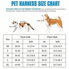 Breathable Pet Harness   Leash Set