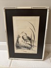 Original Etching     Ribbon In The Sky    Of A Bird Framed In Bamboo White Frame 16   