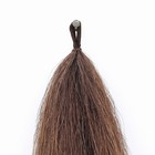 Y j Tails Light Brown Loop Top Tapered Bottom 28 -30  Horse Tail Extension