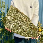 2 87lb Natural Green Mica Crystal Slice Specimen Energy Healing Reiki