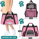 Airline Approved Pet Carrier  Soft Sided Dog Cat Travel Bag     Large Pink
