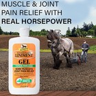 Absorbine Veterinary  Liniment Gel 12oz Gel Muscle Joint Relief Stimulates