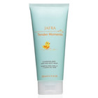 Tender Moments Cleansing Baby Hair   Body Wash   2-in-1 Gentle Baby