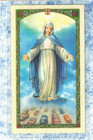 Prayer To Our Lady Of The Highway - Laminated Holy Card Hc9-511e
