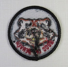Wood Badge Good Ol  Beaver Patrol Patch Boy Scout Leader Scouting America