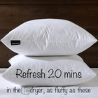 18x18 Decorative Throw Pillow Inserts-down Feather Pillow Inserts-square-cott   