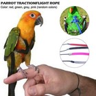 Pet Parrot Bird Harness Lead Leash Flying Training Rope Cockatiel Outdoor