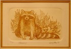 Signed Dated Numbered Matted   Framed Raccoon Family Intagio Etching Art Print