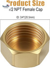 6pcs Brass 1 2 Inch Npt Caps Outer Hex With 6pcs Silicone Ring  1 2  Npt Female