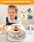 Egg Incubator With Automatic Egg Turning And Humidity Control - 12 24 Eggs  360  