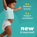 Pampers Baby Dry Ultra Baby Diapers Size 3  164 Count  Free Shipping  New
