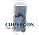32 Oz Copepod Bottles  - Tisbe  Trigio  Apo Copepods - With Phyto In Bottle 