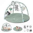 Blissful Diary Baby Play Gym Mat  Play Mat Activity Mat With 6 Detachable Toys F