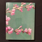 Vintage Collectible Barbie In Japan Book By Keiko Kimura Shibano